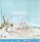 Preview: Am Meer in den Dünen - 1 Cocktail Serviette